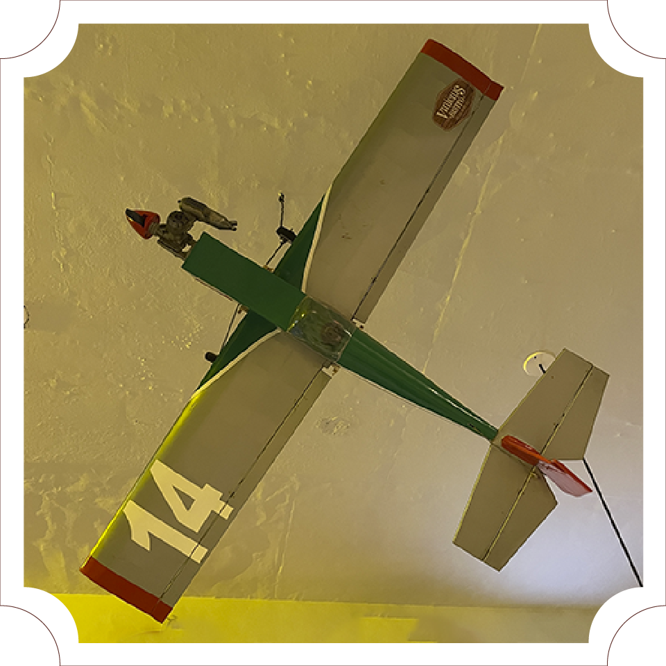 Aeromodelo Cinza